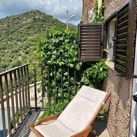 Studio Terrasse Vue Mer Clim Wifi Parking Partinello Exterior photo